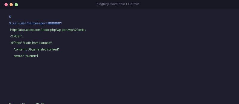 Terminal screenshot - curl command example
